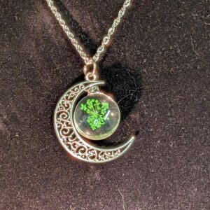 Collier lune trèfle vert séché